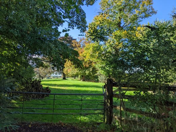 Autumn colours at the end of Hall Lane